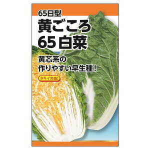  y^LCz 65؁z E i0.8mlj F1izj