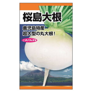 卪 y卪z E i12mlj Œ