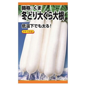卪 y^LCz ~ǂ呠卪z E i5mlj F1izj