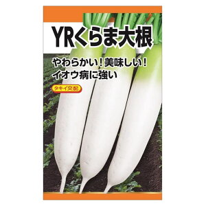 卪 y^LCz YRܑ卪z E i4mlj F1izj