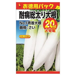 卪 y^LCz ϕa 20mlz E i20mlj F1izj