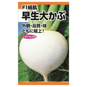  yF1傩ԁz E i3mlj