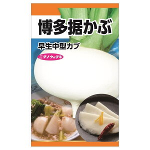 かぶ 【博多据かぶ】 種・小袋 (8ml) 固定種