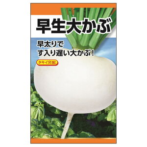  y^LCz 傩ԁz E i3mlj F1izj