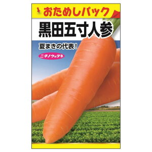 ɂ񂶂 ycܐɂ񂶂 (߂pbN)z E i1mlj Œ