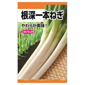 ˂ y[{˂z E i5mlj Œ