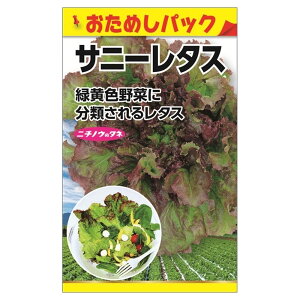 ^X yTj[^X (߂pbN)z E i0.5mlj