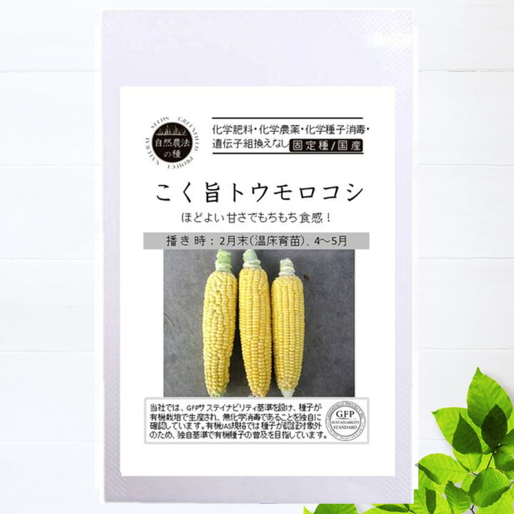 楽天市場 有機種子 こく旨トウモロコシ S 18粒 種蒔時期 2月末 温床育苗 4 5月 苗木部 ｂｙ 花ひろばオンライン