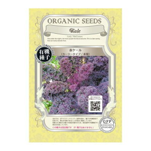 yL@qz ԃP[ J[[ ^Cv/ԗt S 0.4g 펪 3`7