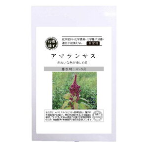 yL@qz A}TX S 100 펪 4`5