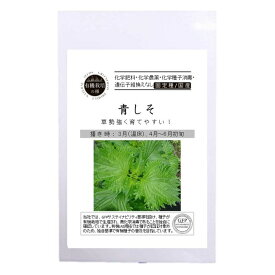 【有機種子】 青しそ S 1.8g 種蒔時期 3月（温床）4～6月初旬