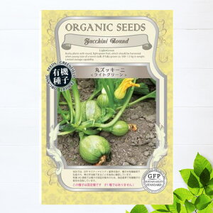 yL@qz ۃYbL[j/CgO[ S 20 펪 3`5