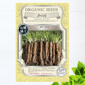 yL@qz mS{E/p[vTVt@C/oW S 0.5gi35j 펪 3{`5