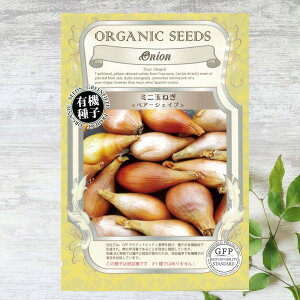 �y�L�@��q�z �~�j�ʂ˂�/�y�A�[�V�F�C�v S 0.8g�i��180���j �펪���� 2�`3���A9�`10��