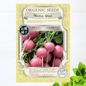 �y�L�@��q�z ���f�B�b�V��/��\���卪/�s���L�[ S 1.2g�i��120���j �펪���� 3�`10��