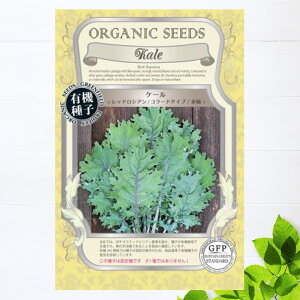 yL@qz P[/bhVA/R[h^Cv/Ԏ S 0.3gi80j 펪 3`7