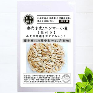 yL@qz Ñ㏬/G}[kt S 8g 펪 10{`12{