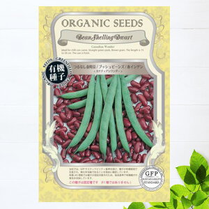 yL@qz Ȃ/ԃCQ JifBA_[ S 18 펪 3`7