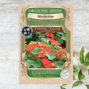 yL@qz iX^`E/LJ/RpNg^Cv S 12 펪 3`5A9