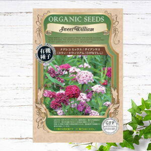 �y�L�@��q�z �i�f�V�R�~�b�N�X/�_�C�A���T�X/�X�E�B�[�g�E�B���A�� S 200�� �펪���� 3�`6���A9�`10��