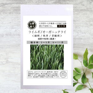 yL@qz CM/I[KjbN C/Δ/q/ iϗp S 18gj 펪 3`5A9`11