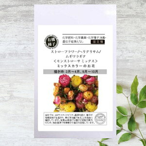 【有機種子】 ストローフラワー/ヘリクリサム モンストローサ ミックス S 25粒 種蒔時期 3〜4月、9〜10月