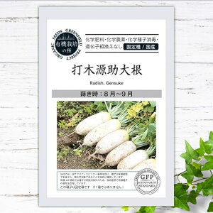 yL@qz 񂷂 Ŗ،卪 S 40 펪 H܂