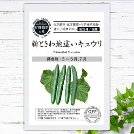 【有機種子】 新ときわ地這いキュウリ S 25粒 種蒔時期 春まき