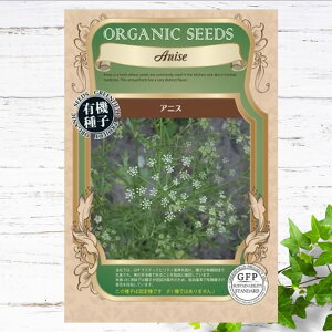 yL@qz AjX S 1.5g 펪 t܂