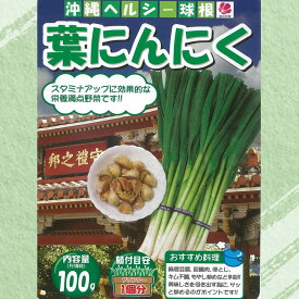【葉にんにく】 種 球根 100g入りと250g入りから選ぶ。奈良県産 国産 （植え付け時期8月上旬〜10月下旬まで）