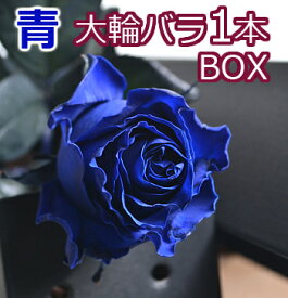 楽天市場 バラ 一輪の通販