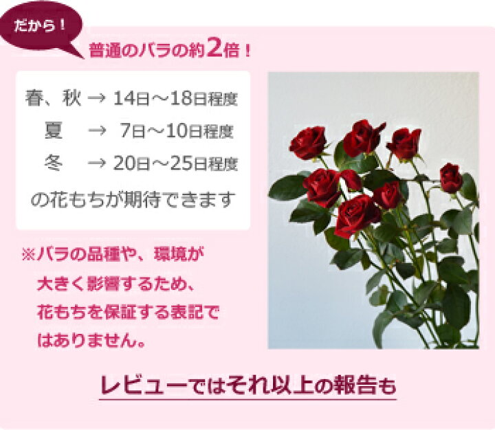 楽天市場 大臣賞 スプレーバラの花束 本数指定ok 誕生日 プレゼント 結婚記念日 ホワイトデー 妻 ギフト 花 プロポーズ 薔薇 7本 バラの花束 通販 Hana Rug
