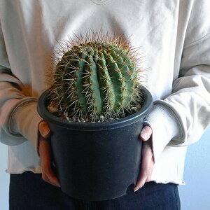 T{e ×z 7 A ϗtA ۂ JN^X Ă₷ j JX J J@ a LO Mtg CeA  ItBX   2025