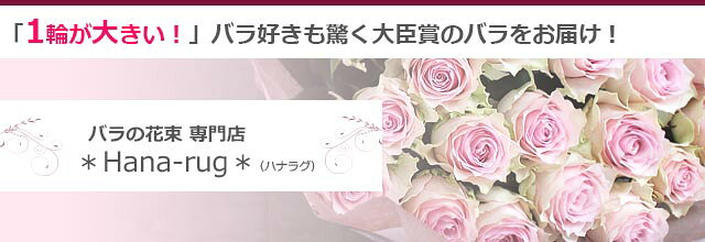 楽天市場 薔薇の花束 贈り物に バラの花束 通販 Hana Rug トップページ