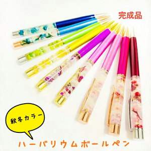 n[oE{[y@H~J[@NX}XEav[gɂ