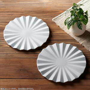 yN[|zzzAybNX e^v[g 27cm zCg // Z  H M MM M ؎M fBi[M pX^M P[LM fU[gv[g  j ĂȂ Vv 