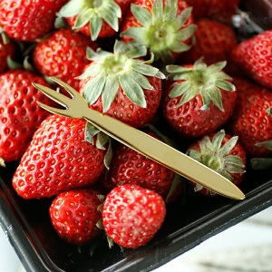 yN[|zzzI[hus gfe sbNtH[N 9cm S[h 1{ // [֑Ή z[p[eB[ ĂȂ  킢 Vv GKg ܂ JNe