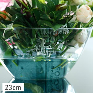 【クーポン配布中】コスモス ボウル 23cm ガラス // ガラス食器 食器 鉢 大鉢 盛鉢 ボウル ガラスボウル サラダボウル 素麺 そうめん 冷麦 ひやむぎ 冷麺 クリア シンプル おしゃれ 買いまわり