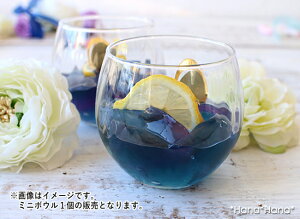 yN[|zzzA~[Y L{[i[j 340ml // KXH H OX Rbv Jbv p[eB[ JtF fU[g  JNe NA Vv 킢   