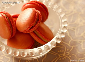 yN[|zzzeBA (V{jT_{E 12cm KX{ H  IV  g₷ ĂȂ JtF JtF _ k  fU[g T_ hbg