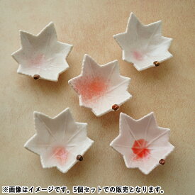 【クーポン配布中】カエデ桜志野珍味皿 5個セット ピンク//美濃焼 和食器 買いまわり