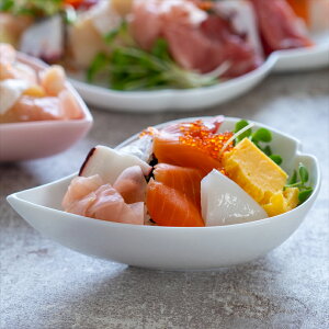 yN[|zzzЂƂЂ  13.5cm zCg // Z  H aH   攫 hg ϕ {E ~j{E T_ fU[g t[c   Ԃт  TN 킢