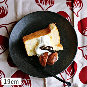 yN[|zzz P[LM 19cm ubN // Z aH H M M M ؎M pM P[LM    ܂ ꂢ m H@Ή H