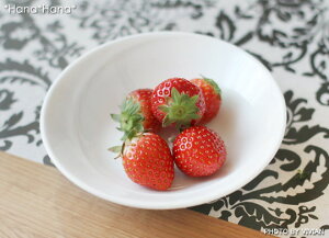 yN[|zzz[ t[c{E 14cm zCg(񂹕ij// Z  H M M M M   v[g {E t[c T_  Vv X^CbV 