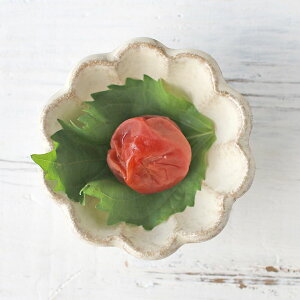 yN[|zzzJlR J Ԍ^ 8.5cm  // Z aH a_   {E ~j{E  i` Ԍ` ق 킢 ܂