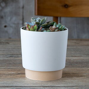 yN[|zzzground OEh v^[ M 11.6cm x[W 3.5|bgp WRq}c Z SDGs Đygp