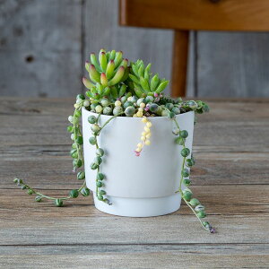 yN[|zzzground OEh v^[ S 9.5cm zCg 2.5|bgp WRq}c Z SDGs Đygp