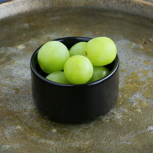 yN[|zzz`[uubN RRbgM 6.3cm S // H Z  RRbg  t  v`{E fU[gJbv  H  _ Ɩp zeH Xg