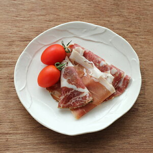 yN[|zzzF hǖXM 17.5cm//Z aH ܂ v[g XNGA M M M M H   H@Ή dqWΉ    M ی^ zCg 