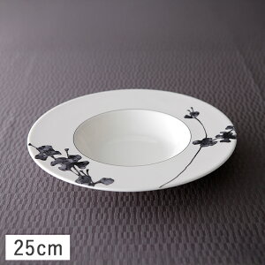 yN[|zzzi~ OCXt[ ChX[vM 25cm mg[ //M  pX^v[g ԕ C Ȃ i~{[`Ci  fG ꂢ _ 